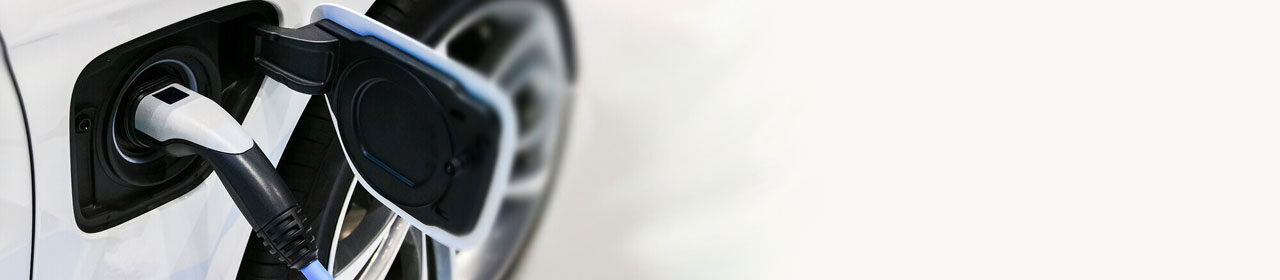 slider image slider image