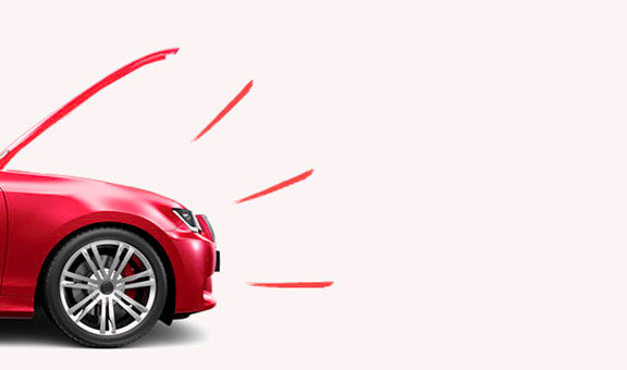 slider image slider image